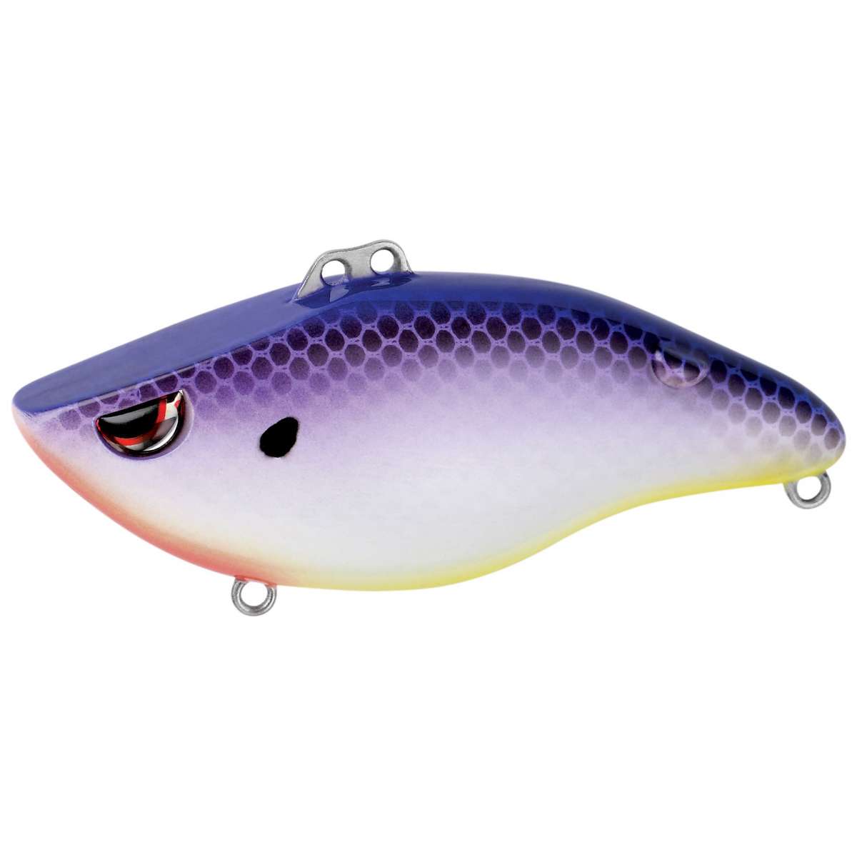 Spro Shin Fukae WamekuShad 70