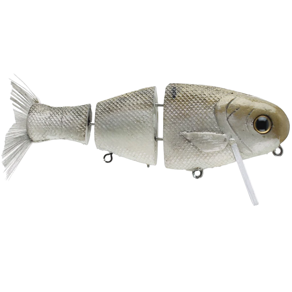 Bull Shad Swimbait Bull Wake