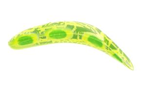 Yakima Bait Flatfish