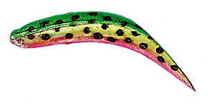 Yakima Bait Flatfish