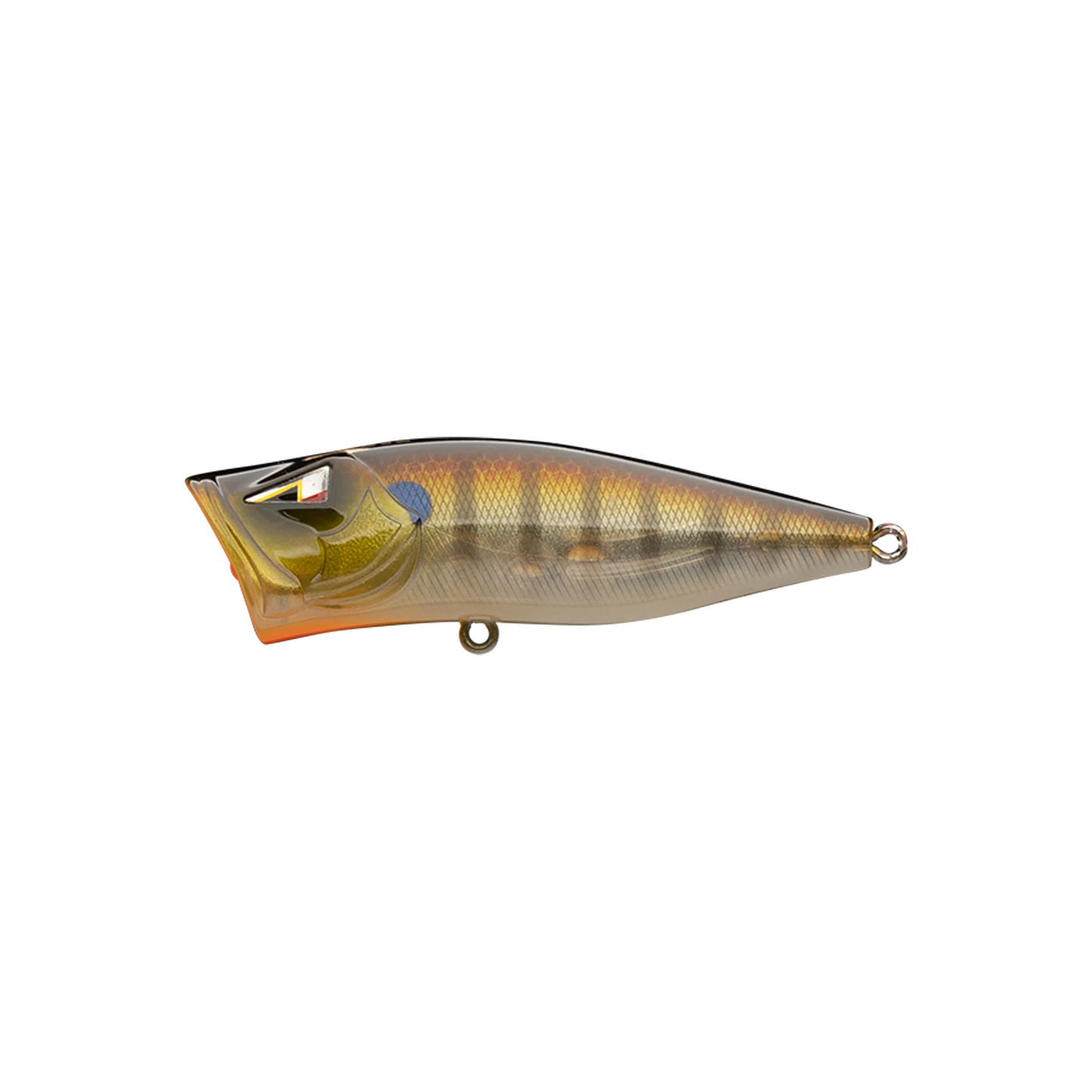 ARK Z Pop Topwater Popper