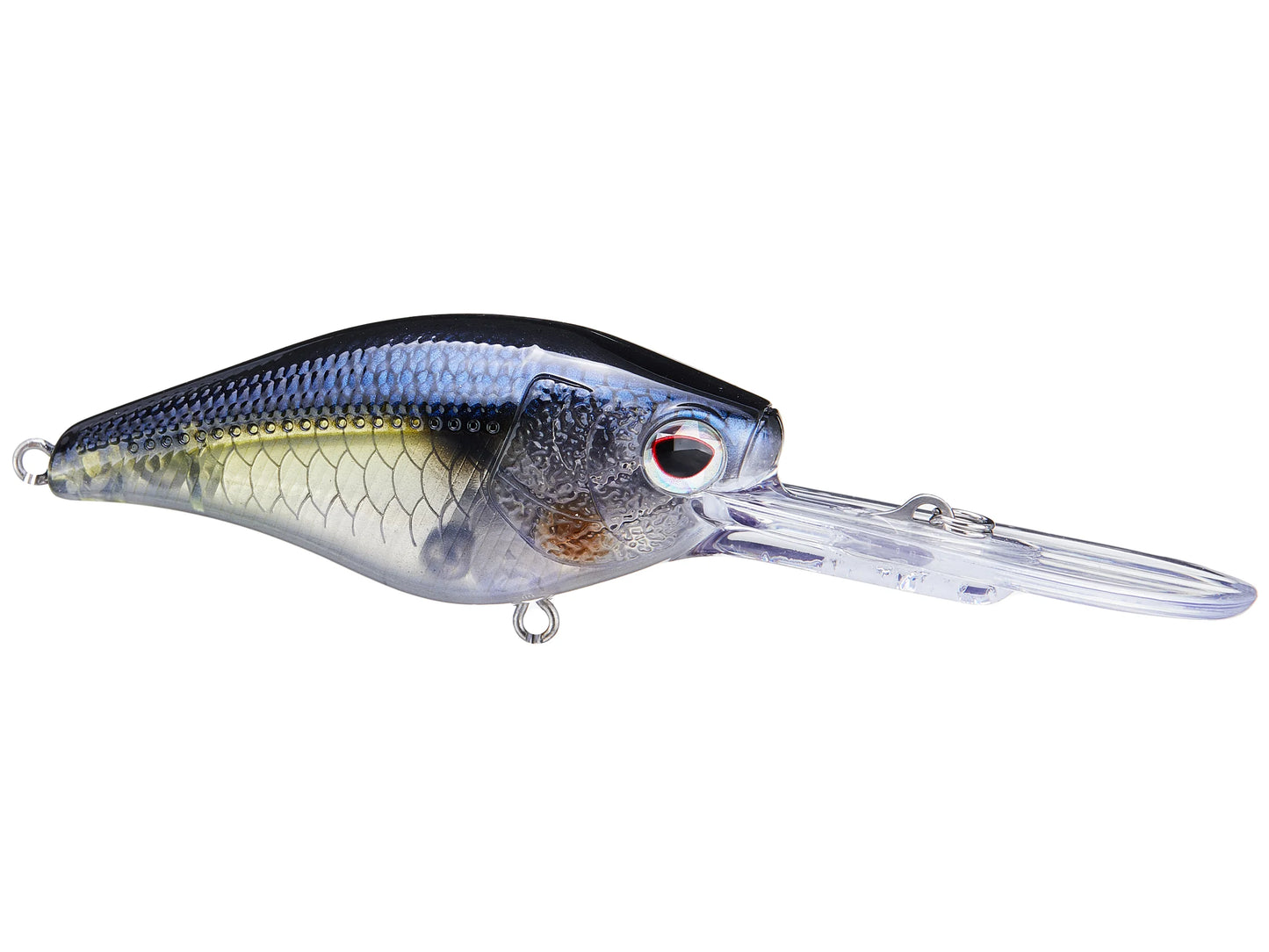 Nomad Design D-Trak 65 Deep Diving Crankbait