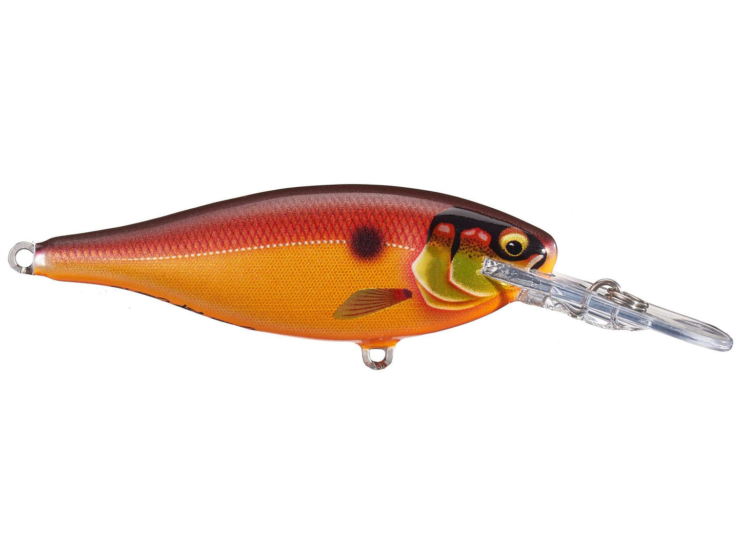 Rapala Shad Rap Elite