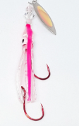 Kokabow, Squid