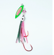 Kokabow, Squid