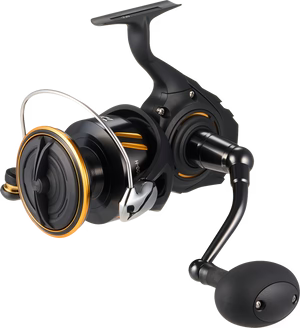 Daiwa BG SW8000-H