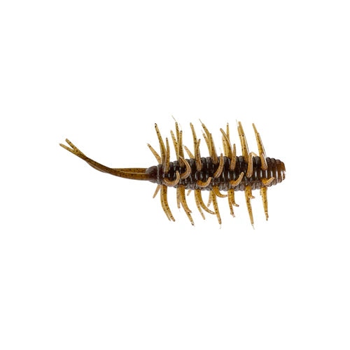 Hide Up Baits Coike Shrimp Medium