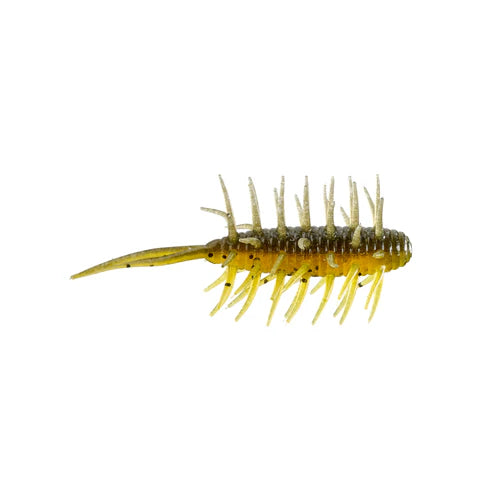 Hide Up Baits Coike Shrimp Medium