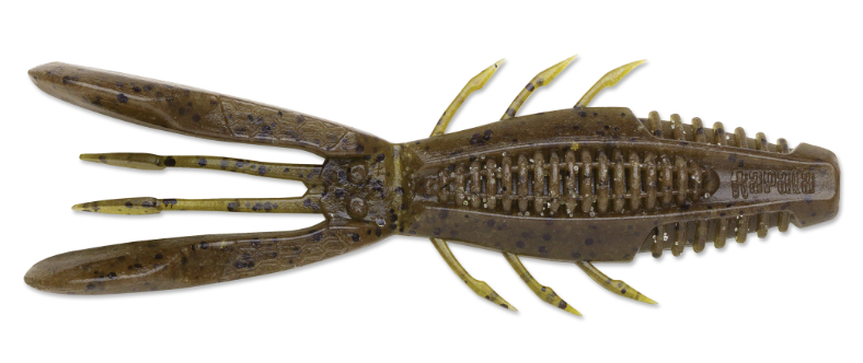 Crush City Bronco Bug