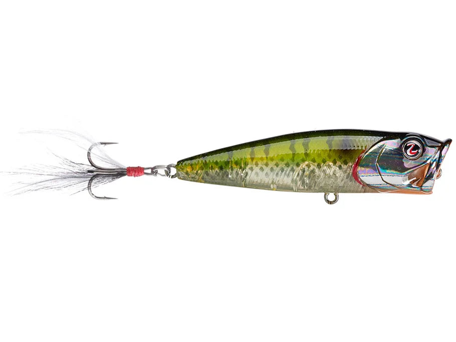 River2Sea Bubble Popper