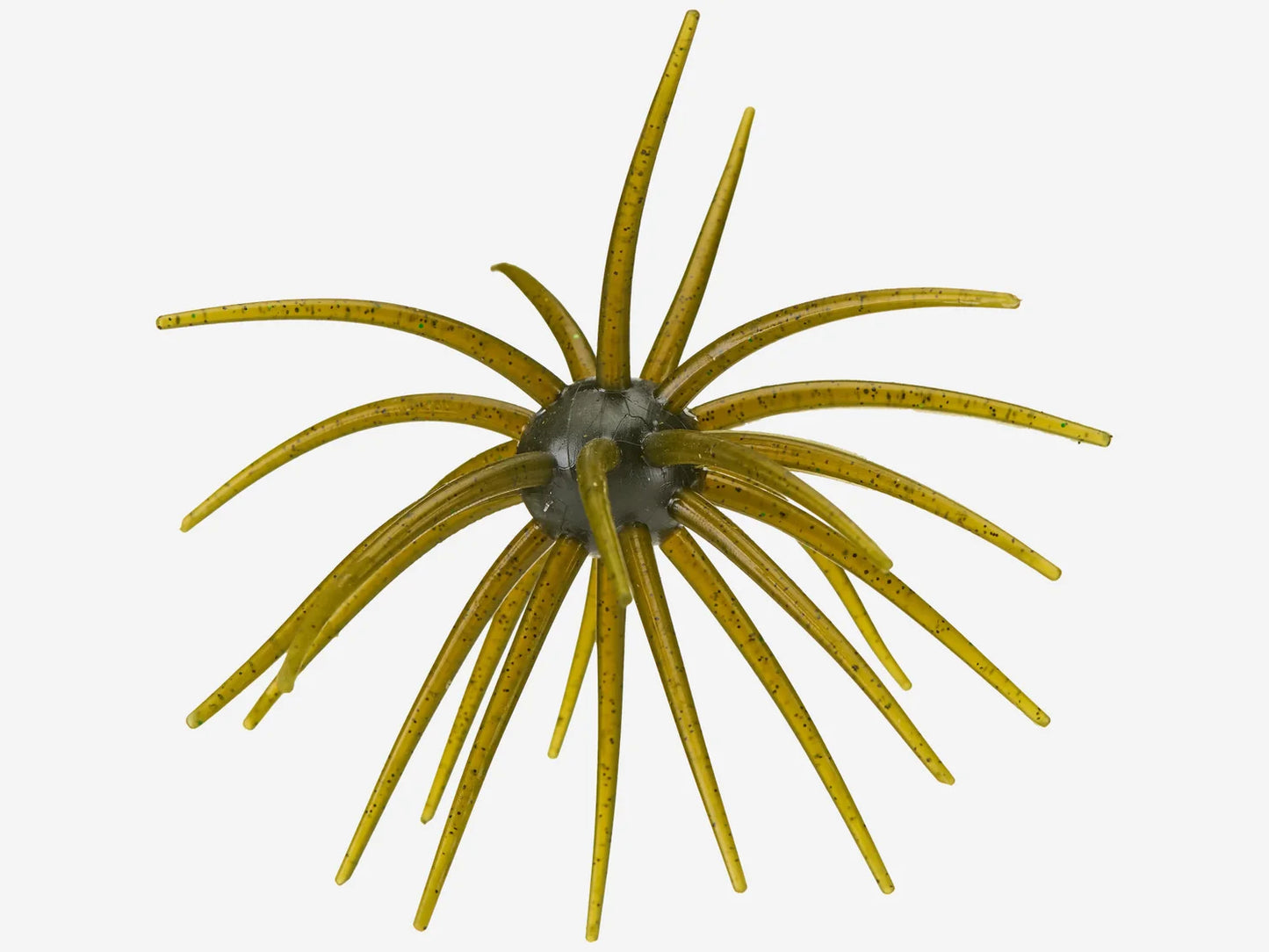 Hags Prickly Pear 25mm Big TEX