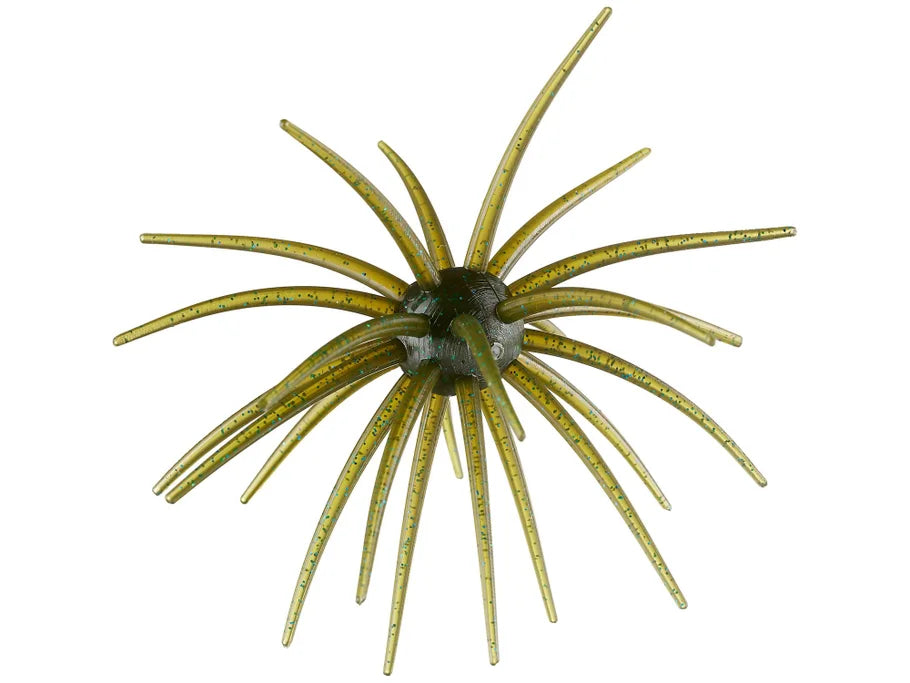 Hags Prickly Pear 19mm