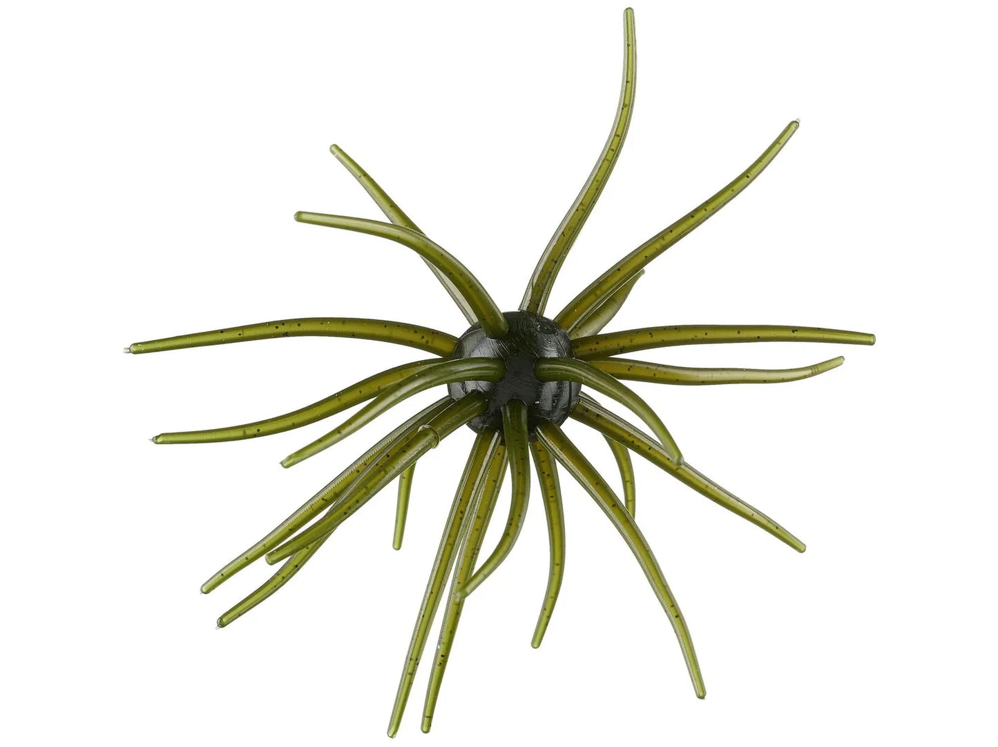 Hags Prickly Pear 19mm