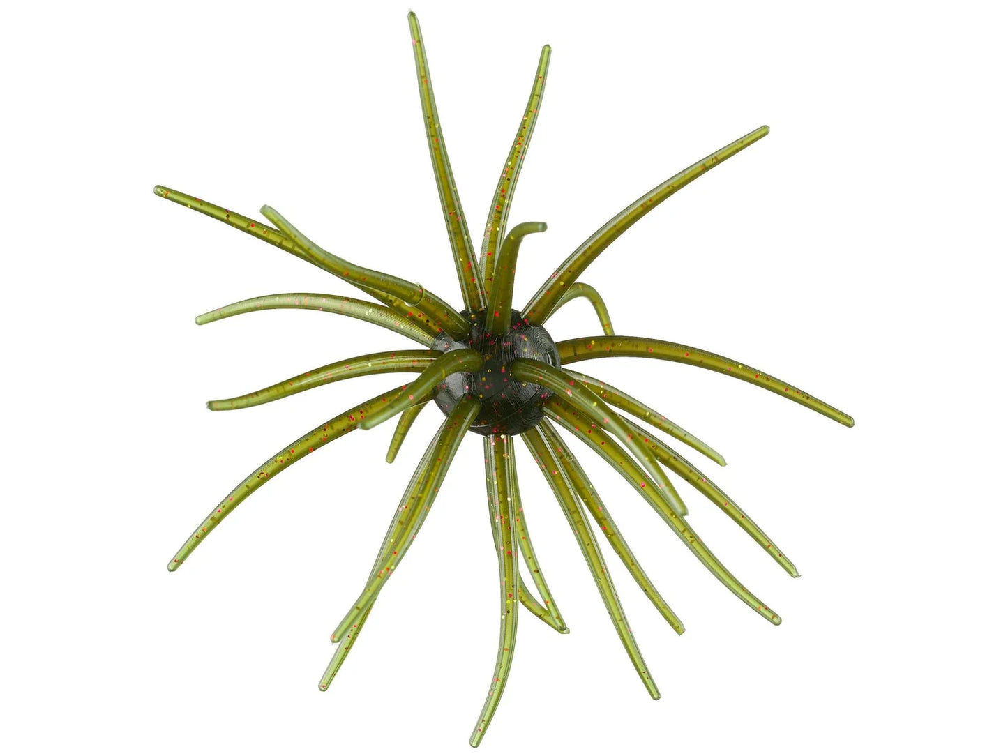 Hags Prickly Pear 19mm