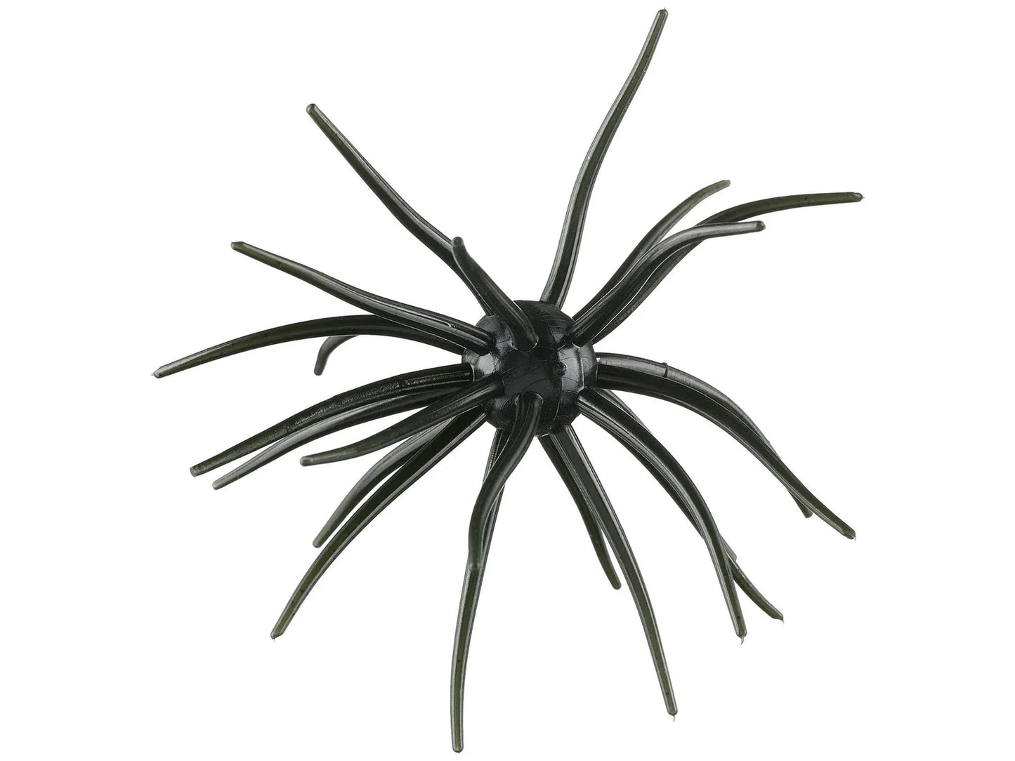 Hags Prickly Pear 19mm