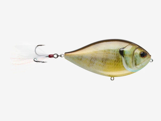 Berkley Slapgill